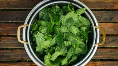 garnishing-instructions-image